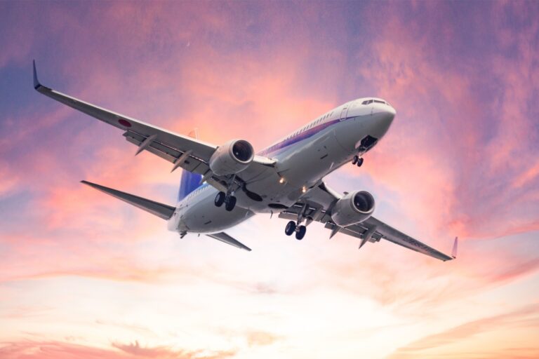 初めての国際線ガイド