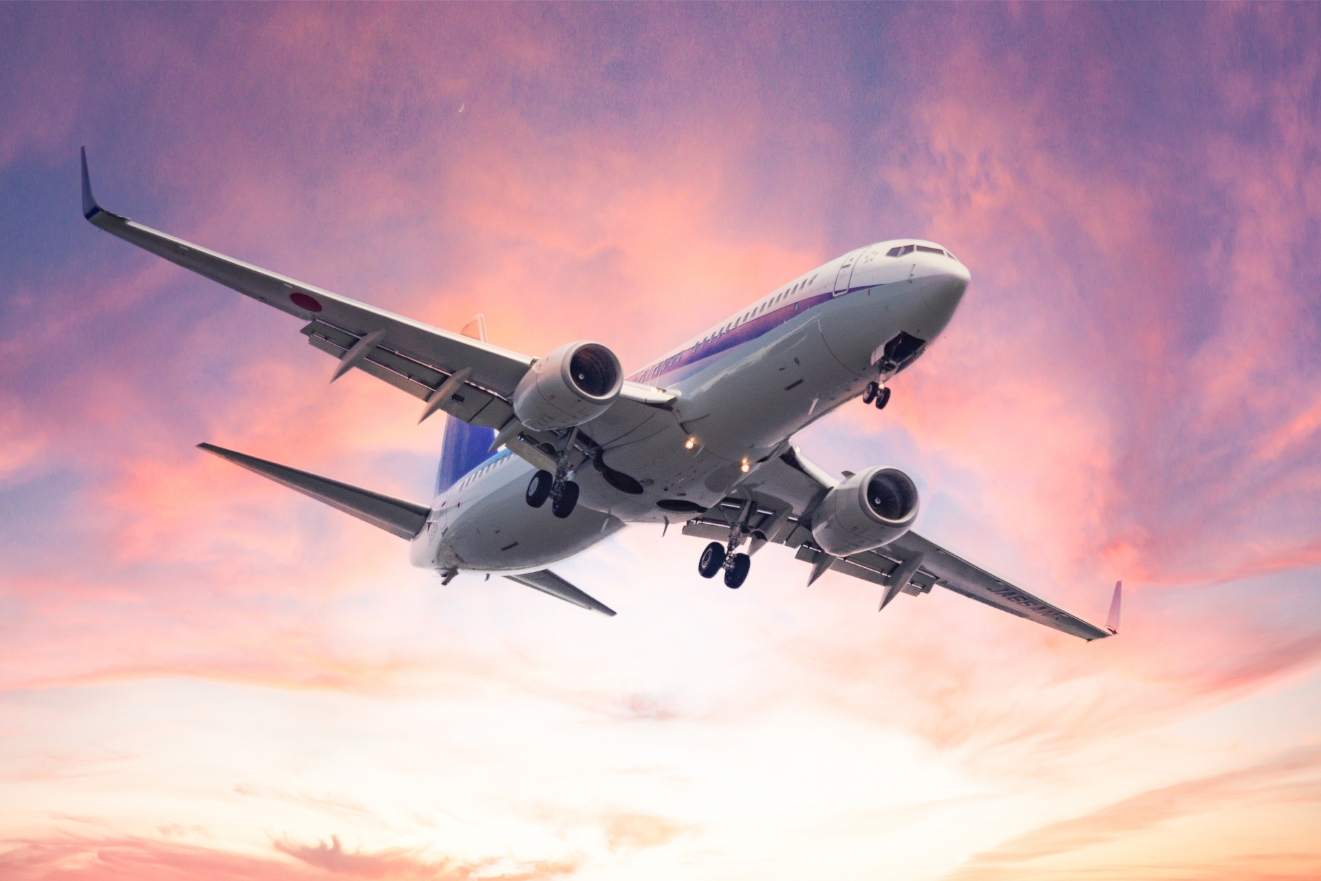 初めての国際線ガイド