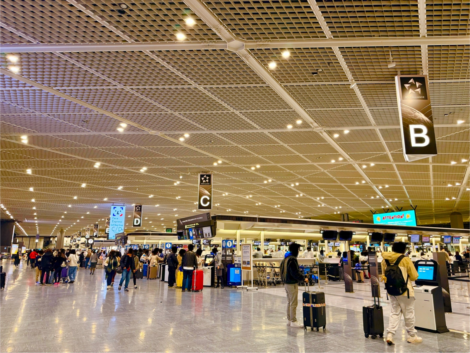 成田空港 航空会社別ターミナル
