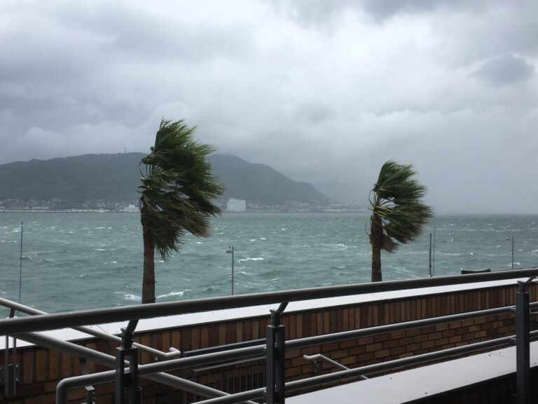台風で飛行機が欠航したらキャンセル・振り替えできる？