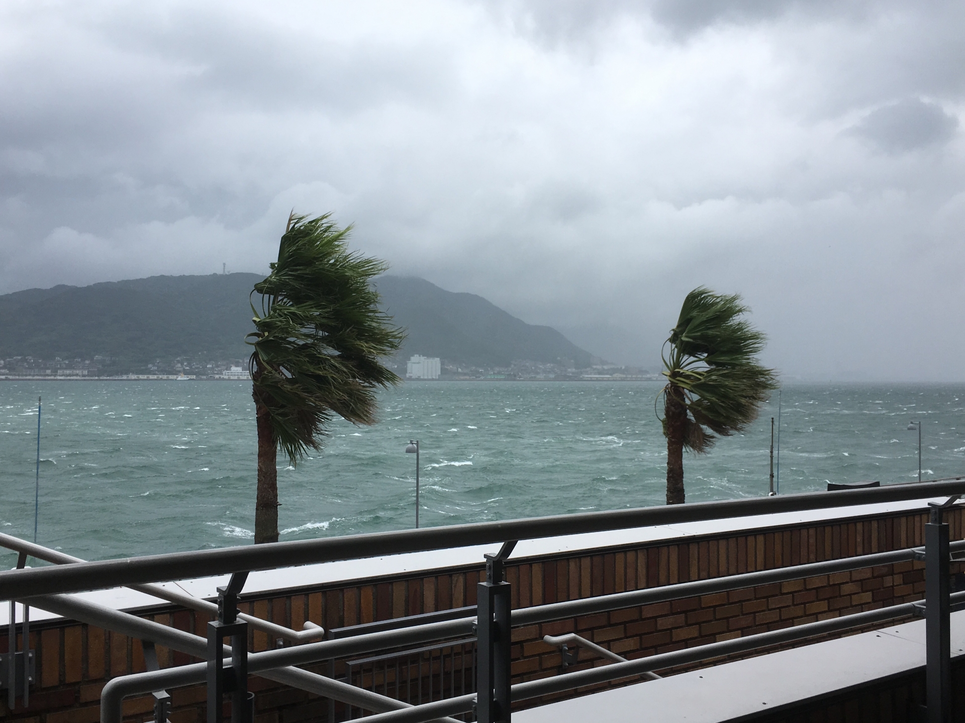 台風で飛行機が欠航したらキャンセル・振り替えできる？